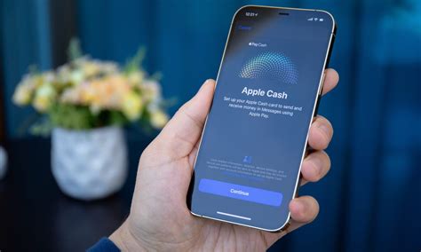 venmo cash users sue apple over|Apple Taking Wrongful Advantage, Sued By Venmo, Cash App。